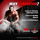 rize-labs---gladiator-capsules---perform-4.jpg