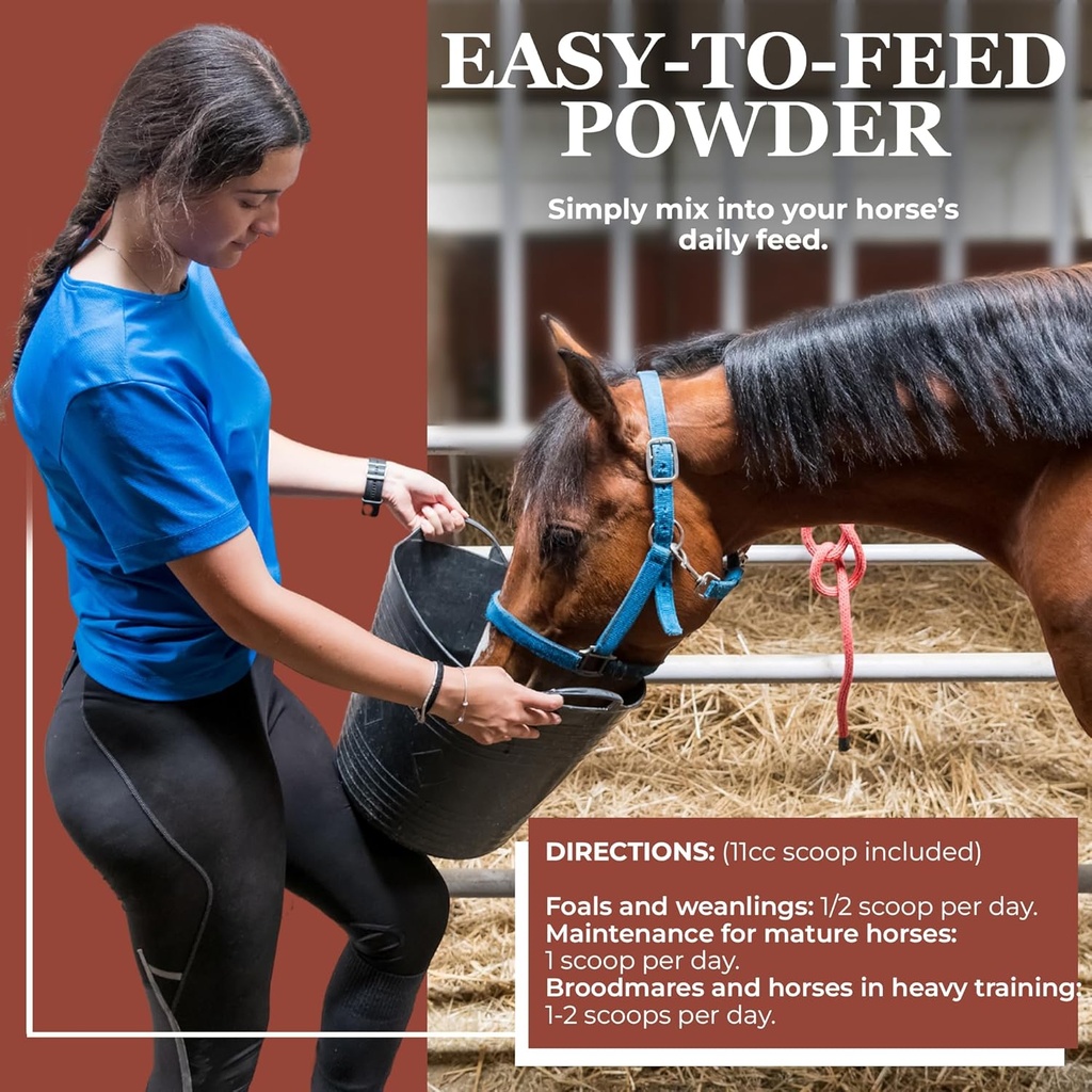 equerrys-lysine-supplement-for-horses-ly-5.jpg