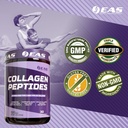 experimental-and-applied-sciences-collag-4.jpg