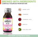 teaonic-my-gut-mojo-digest-detox-drinks--3.jpg