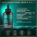 wild-fuel-liquid-collagen-marine-collage-6.jpg