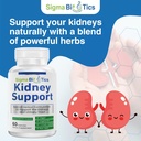 sigma-biotics-kidney-support-supplement--2.jpg