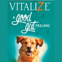 vitalize-dog-gel---after-surgery-recover-4.jpg