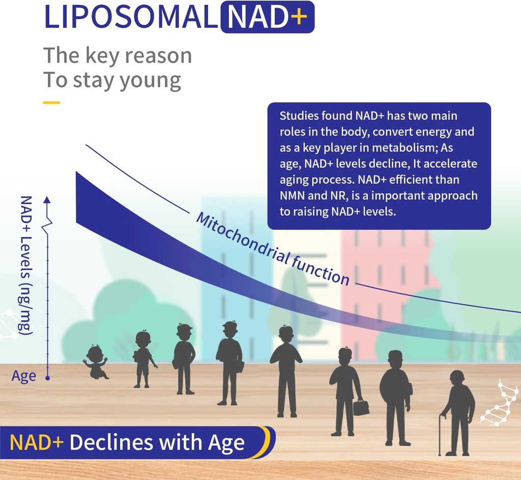 800mg-liposomal-nad-with-tmg-300mg-actua-6.jpg