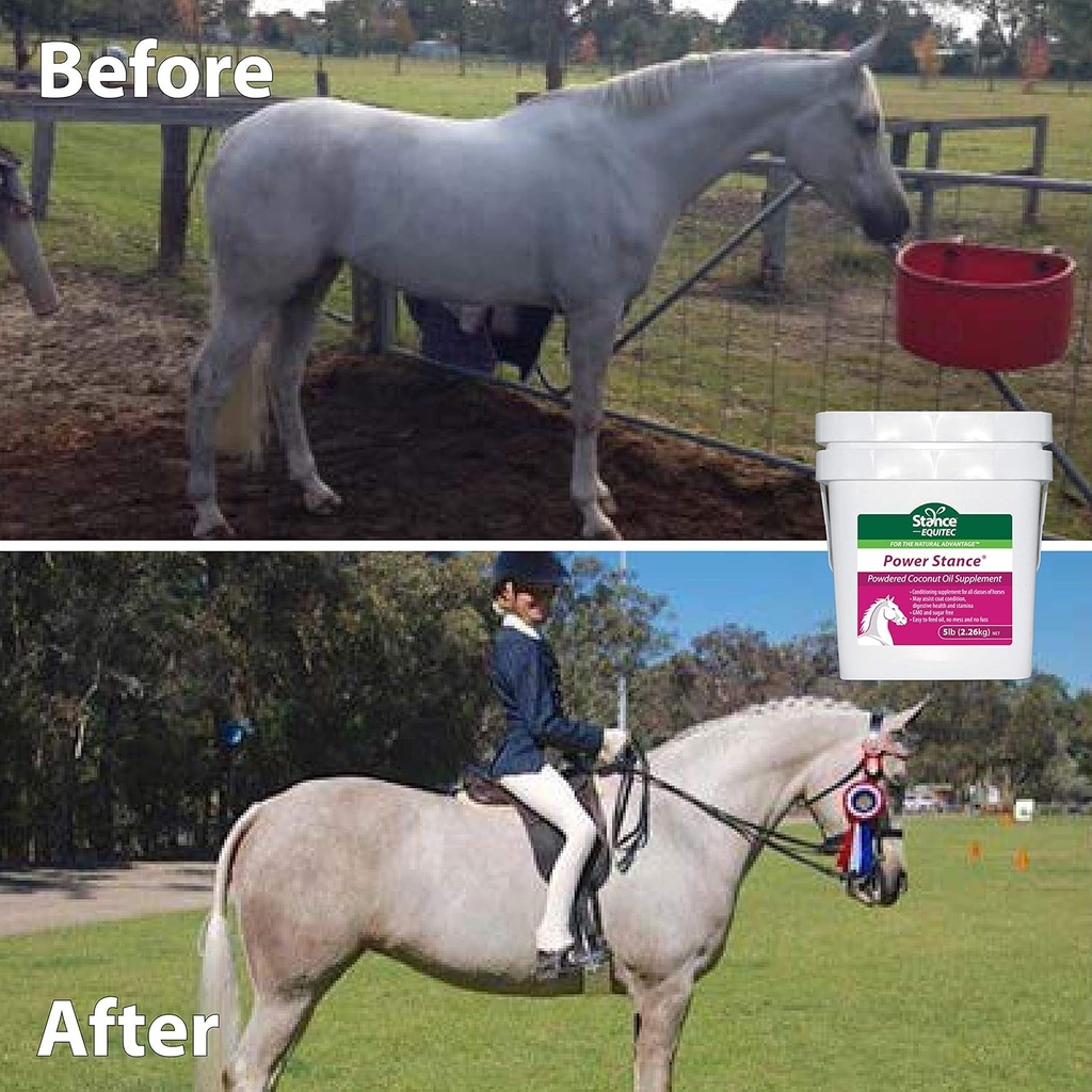 power-stance-powdered-coconut-oil-horse--5.jpg
