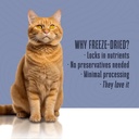 whole-life-pet-healthy-skin-and-coat-cat-5.jpg