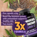 sambucus-elderberry-immune-support-suppl-4.jpg