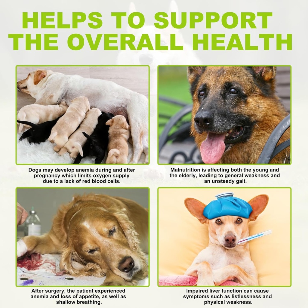milk-thistle-for-dogs-dog-liver-support--4.jpg