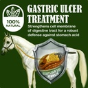 sbs-equine-starting-gate-granules---hors-3.jpg