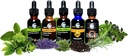 cedar-bear-adrenal-balance---liquid-herb-2.jpg