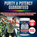 7-lights-sulfur-defense-pure-999-msm-met-3.jpg