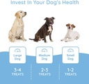 petralyte-dog-electrolyte-and-joint-supp-5.jpg