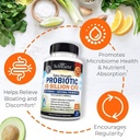 65-billion-cfu-daily-probiotic-supplemen-5.jpg