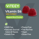 viteey-vitamin-b6-gummies---energy-nerve-5.jpg