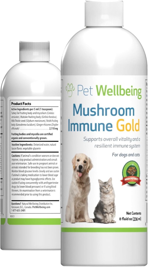 pet-wellbeing-more-mushrooms-kit-for-dog-2.jpg