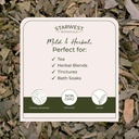 starwest-botanicals-organic-ginkgo-leaf--3.jpg