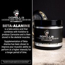 gorilla-mind-beta-alanine-carnosine-prec-4.jpg