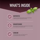approved-science-liversyl---milk-thistle-2.jpg