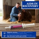 equerrys-electro-probiotic-paste-for-hor-5.jpg