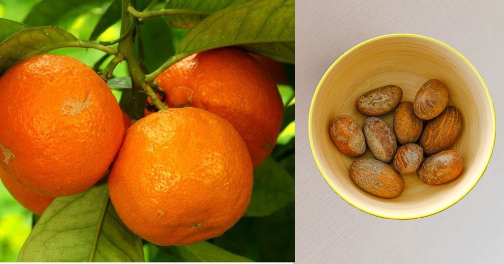 jeb-foods-african-bitter-kola-nuts-bitte-3.jpg