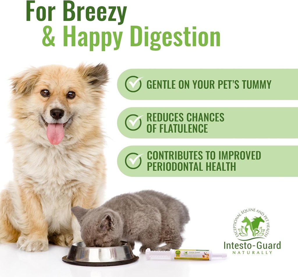 probiotics-paste-for-dogs-prebiotic-for--5.jpg