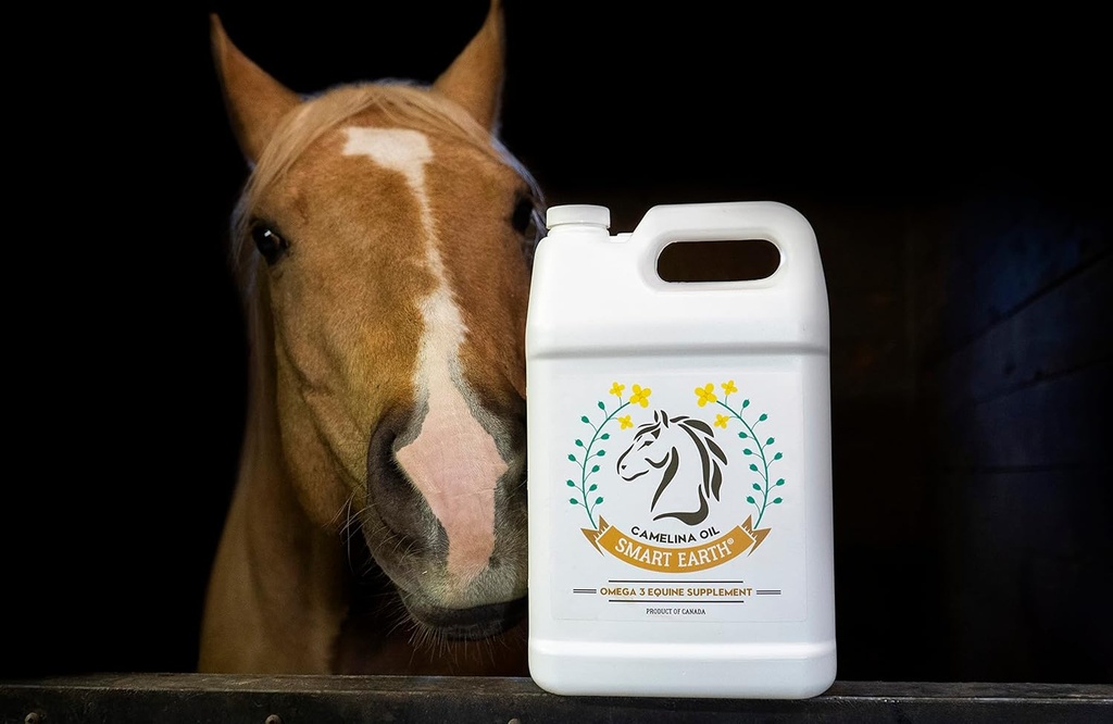 100-pure-camelina-oil-for-horses-omega-3-4.jpg