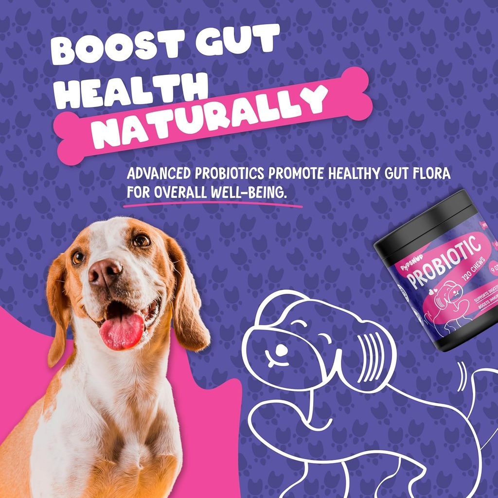pupsnup--probiotics-for-dogs--support-gu-3.jpg