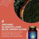 healthforce-superfoods-elixir-of-the-lak-4.jpg