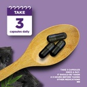 pure-activated-charcoal-pills-detox-clea-5.jpg