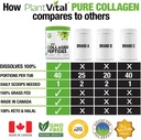 plantvital-pure-collagen-peptides-powder-4.jpg