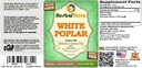 white-poplar-populus-alba-glycerite-drie-2.jpg