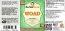 woad-isatis-indigotica-glycerite-dried-l-2.jpg