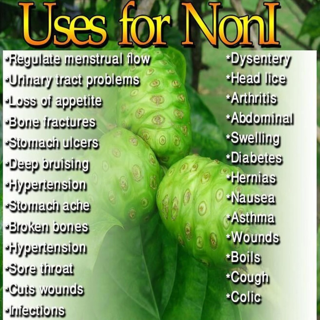 neotea-dry-noni-fruit-300-gm-pack-of-1-4.jpg