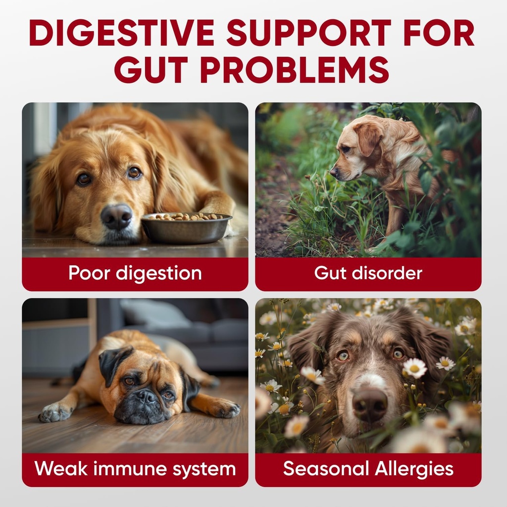 probiotics-soft-chews---enzymes---digest-2.jpg