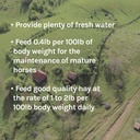 new-country-organics-performance-horse-f-6.jpg