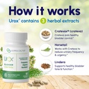 bladder-control-safe-and-effective-bladd-4.jpg