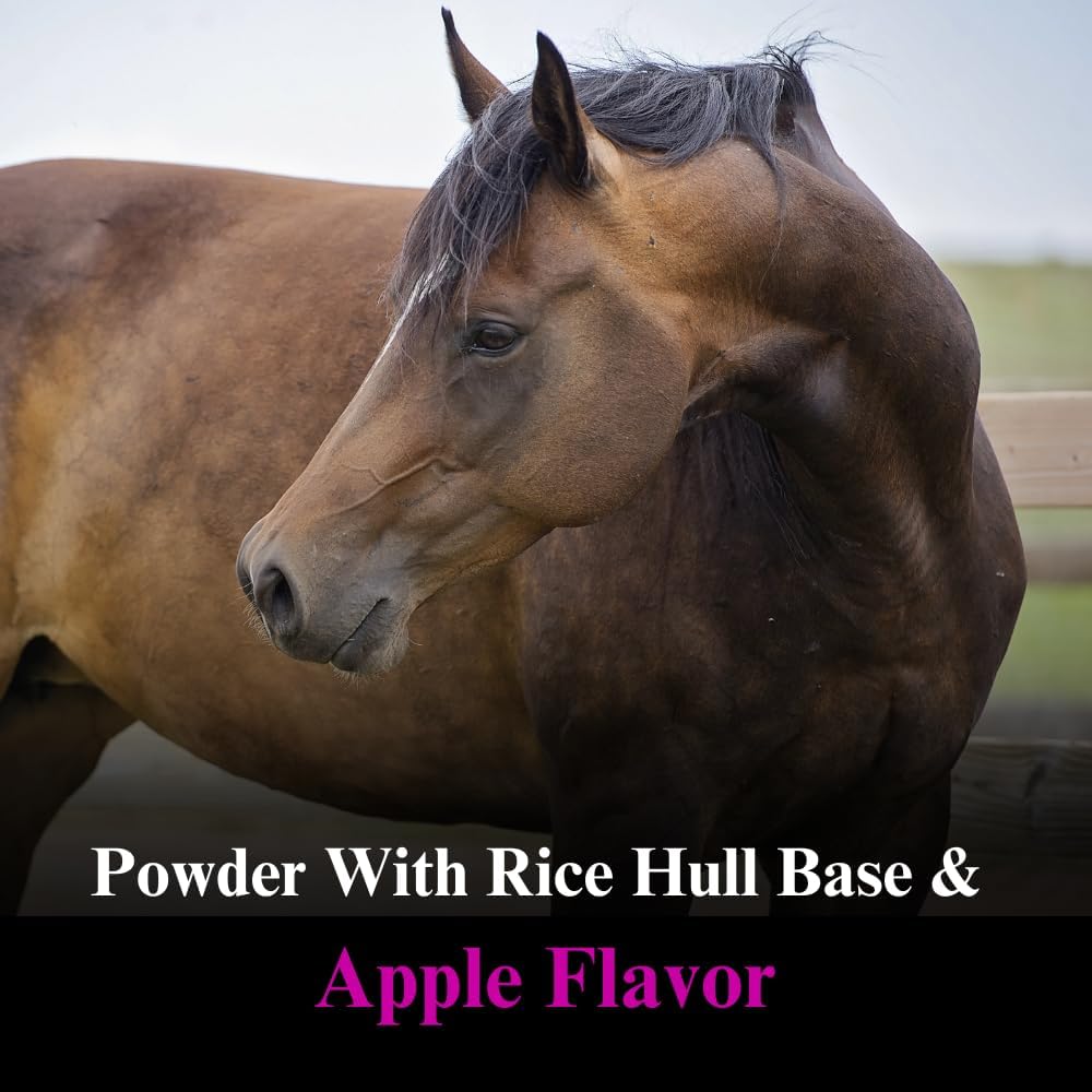su-per-dmg-3000-horse-supplement---train-3.jpg