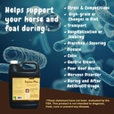 scd-probiotics-equine-plus---liquid-prob-4.jpg