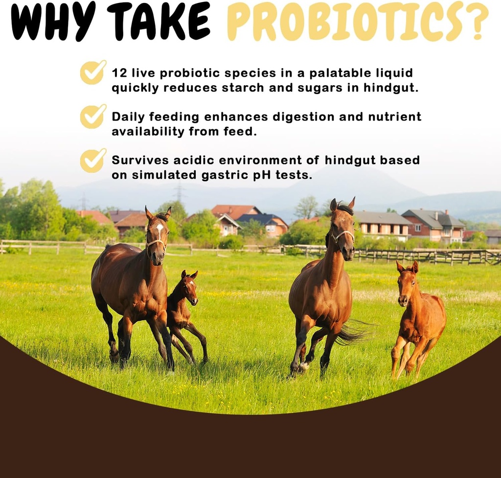 scd-probiotics-equine-plus---liquid-prob-5.jpg