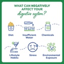 probulin-daily-care-probiotic-supplement-6.jpg