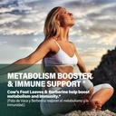 cows-foot-leaves-capsules-supplement---b-3.jpg