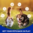 dog-ear-drops-dog-ear-cleaner-and-infect-2.jpg