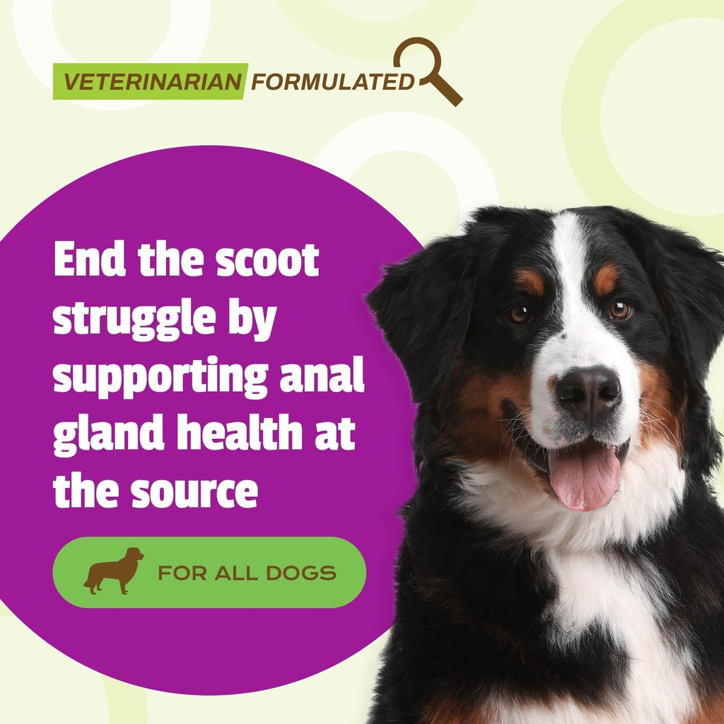 pet-naturals-scoot-bars-for-dogs-digesti-2.jpg