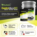 gastromend-xc-100-natural-equine-stomach-3.jpg