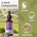 herbamama-nerve-support-supplement---veg-4.jpg