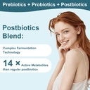 probiotics-women-men-gut-health-digestiv-4.jpg