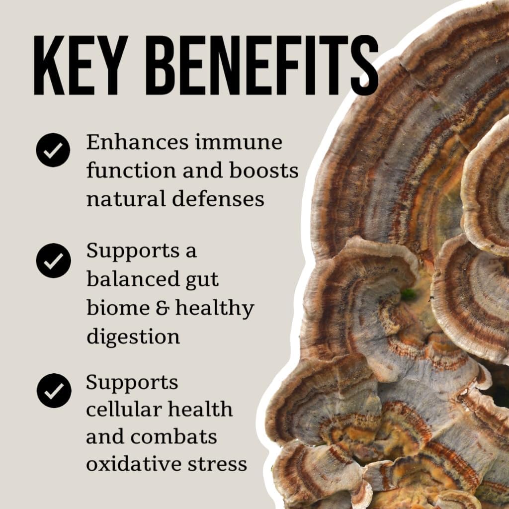 north-spore-organic-turkey-tail-tincture-3.jpg