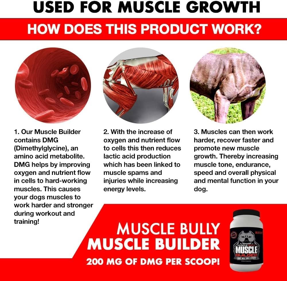muscle-builder-for-dogs---combines-clini-3.jpg