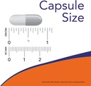now-supplements-dong-quai-angelica-sinen-4.jpg