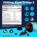 vitamin-b-complex-filled-gummies-plant-b-6.jpg